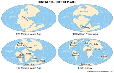 Plate Tectonics